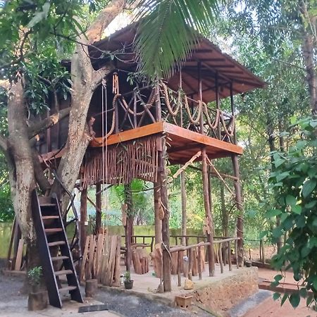 Green Park Safari House & Eco Tree House Udawalawe Exterior foto